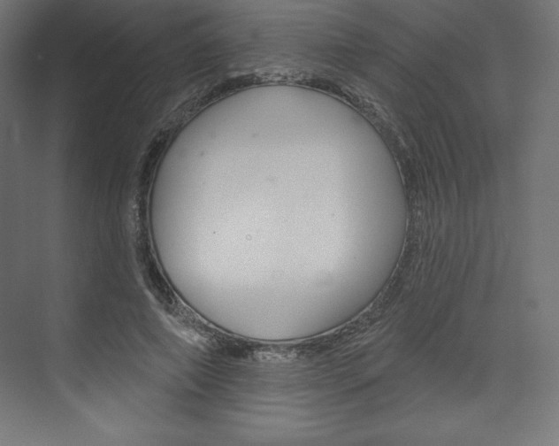 X0000073950690200608210943