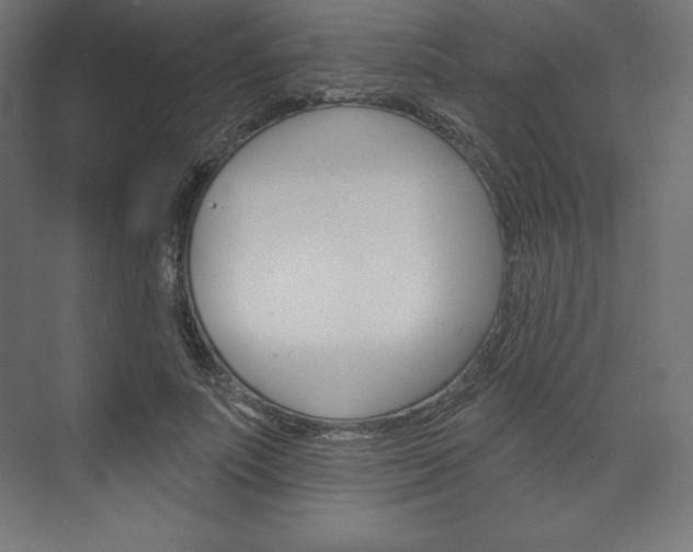X0000073950691200608210943