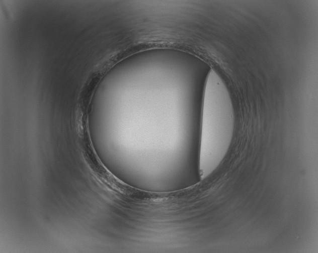X0000073950692200608210943