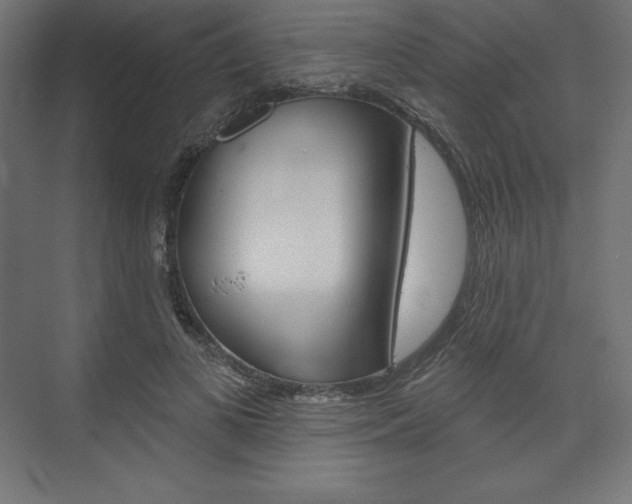 X0000073950693200608210943