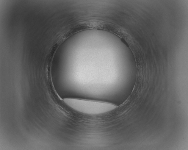 X0000073950696200608210943