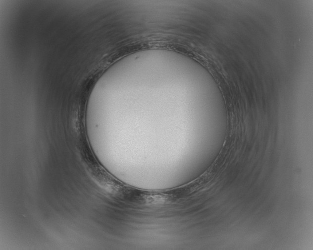 X0000073950698200608210943