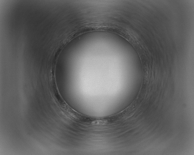 X0000073950700200608210942