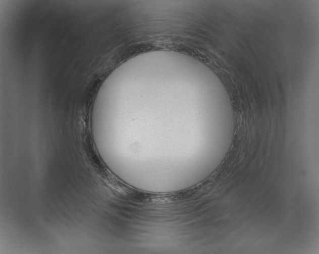 X0000073950702200608210942