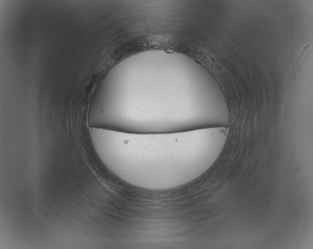 X0000073950703200608210942