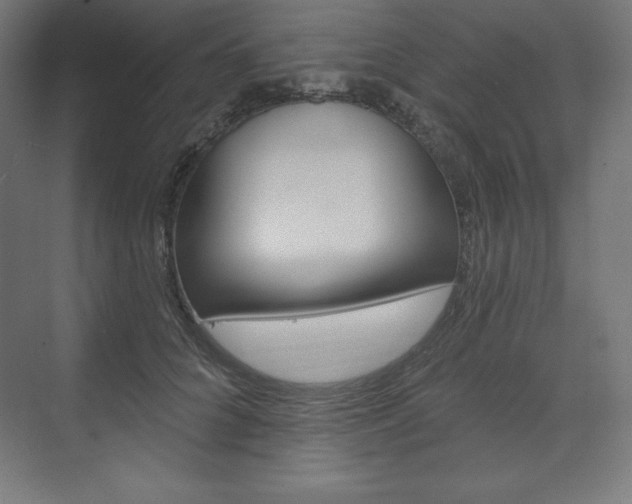 X0000073950704200608210942