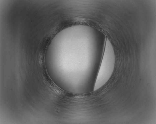 X0000073950708200608210942