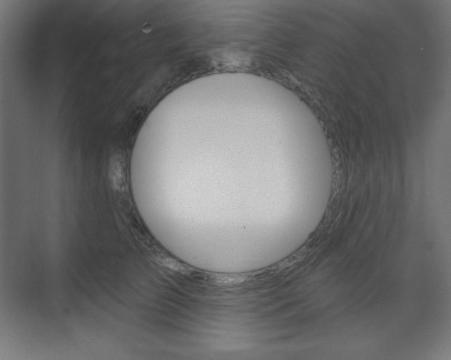 X0000073950709200608210942