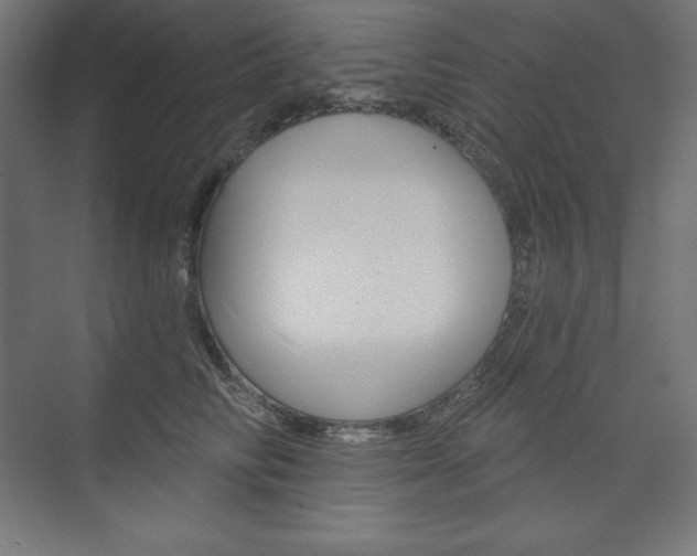 X0000073950710200608210942