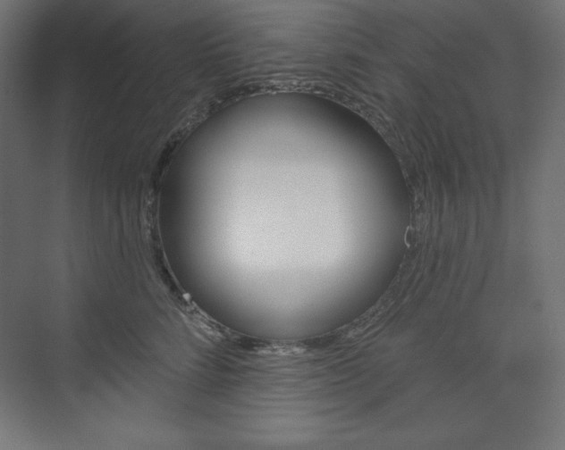 X0000073950712200608210942