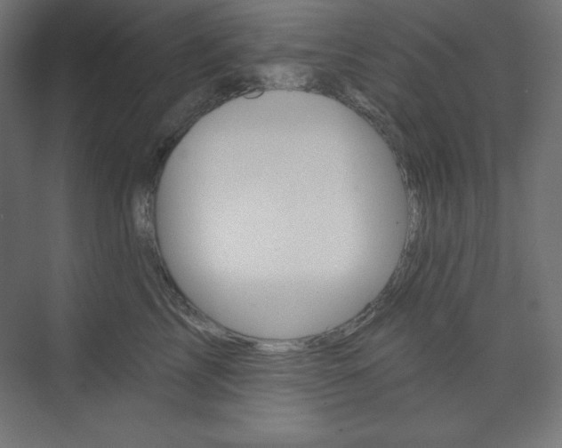 X0000073950713200608210942