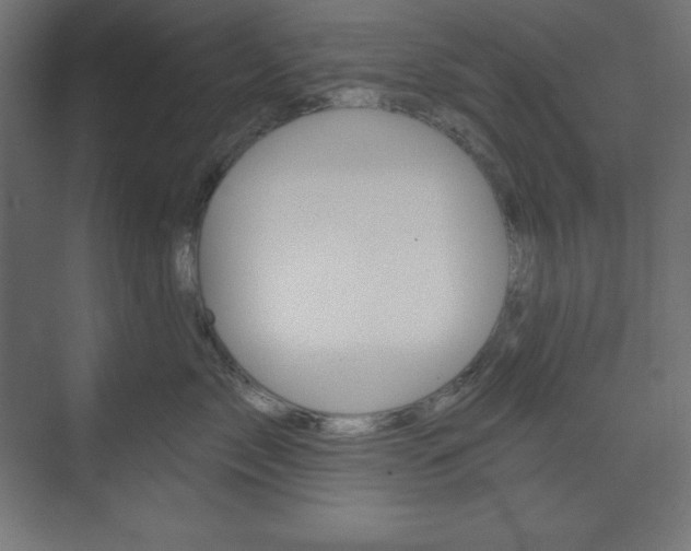 X0000073950717200608210942