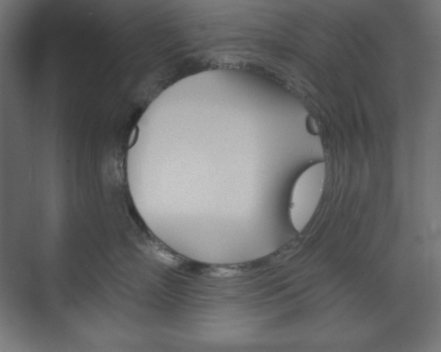 X0000073950718200608210942