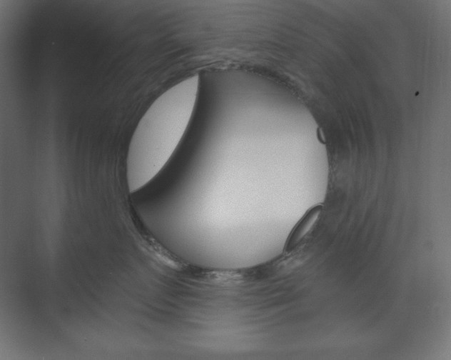 X0000073950719200608210942