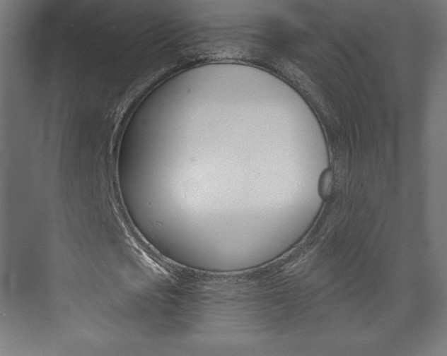 X0000073950721200608210941