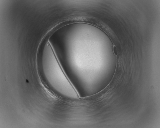 X0000073950722200608210941