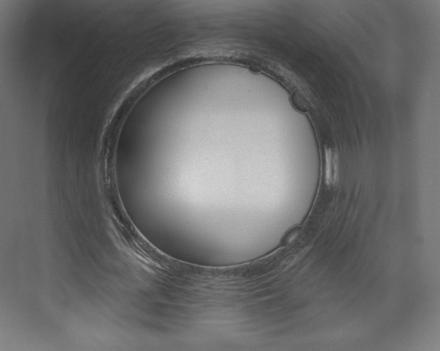 X0000073950723200608210941