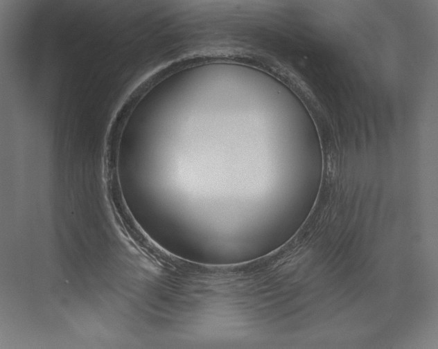 X0000073950724200608210941