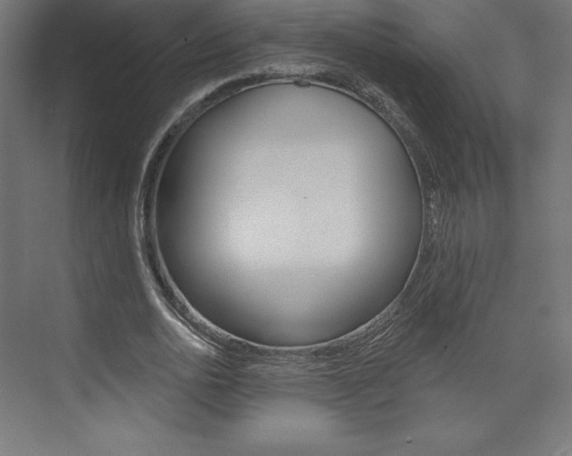 X0000073950726200608210941