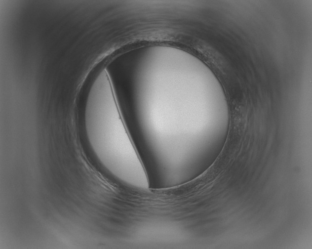 X0000073950727200608210941
