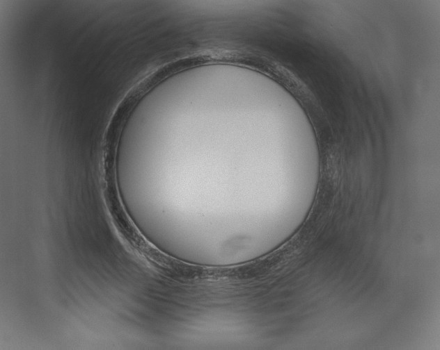 X0000073950730200608210941