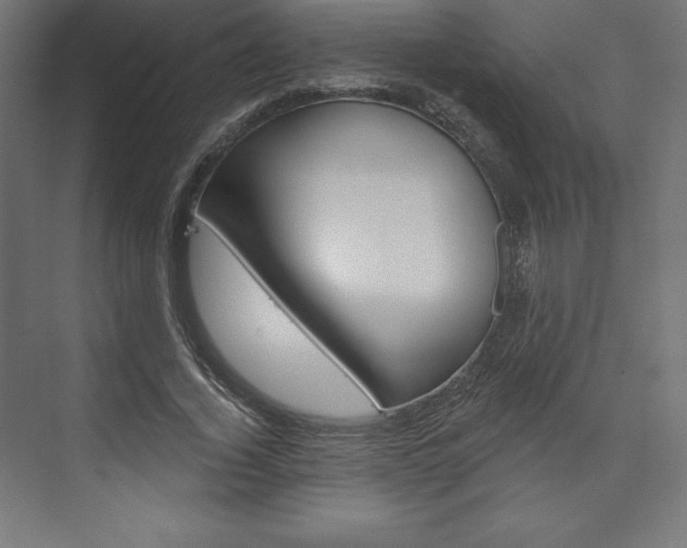 X0000073950732200608210942