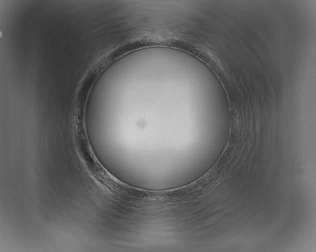 X0000073950736200608210942