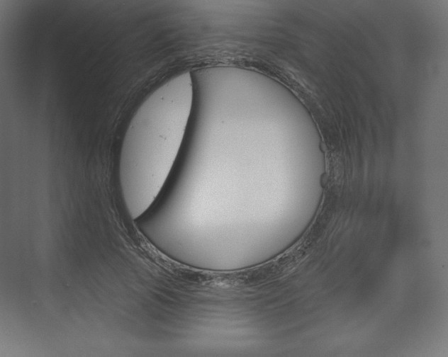 X0000073950737200608210942