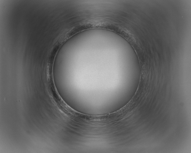 X0000073950740200608210942