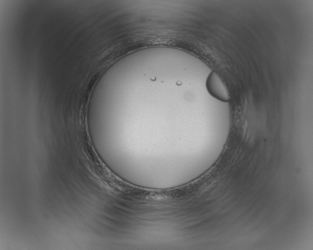 X0000073950741200608210942