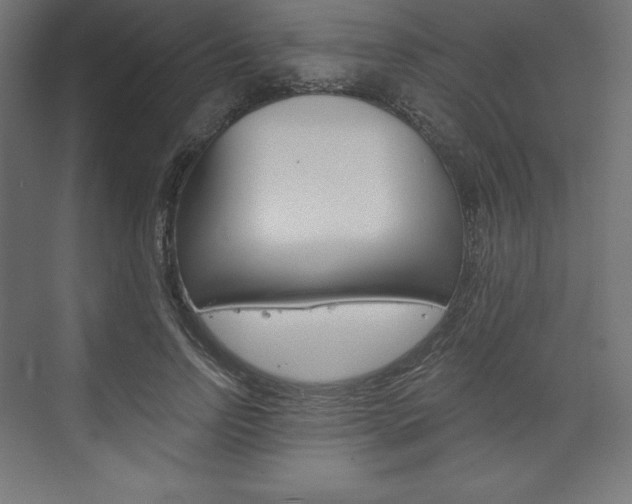 X0000073950742200608210942