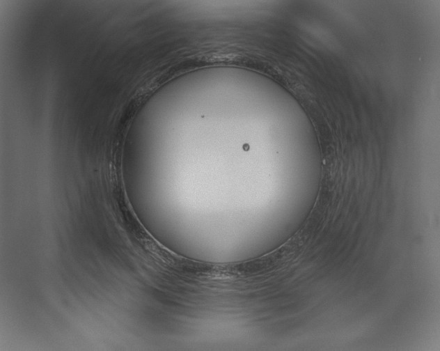 X0000073950743200608210942