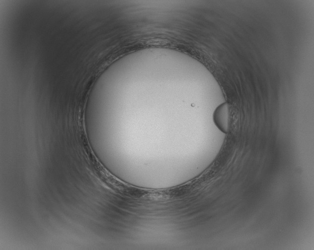 X0000073950745200608210942