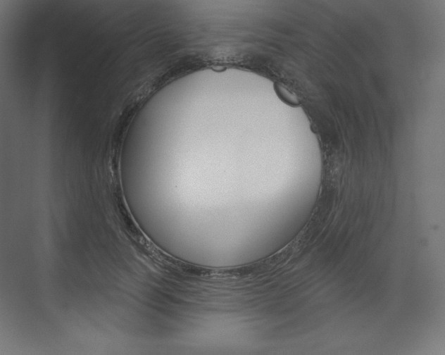 X0000073950746200608210942