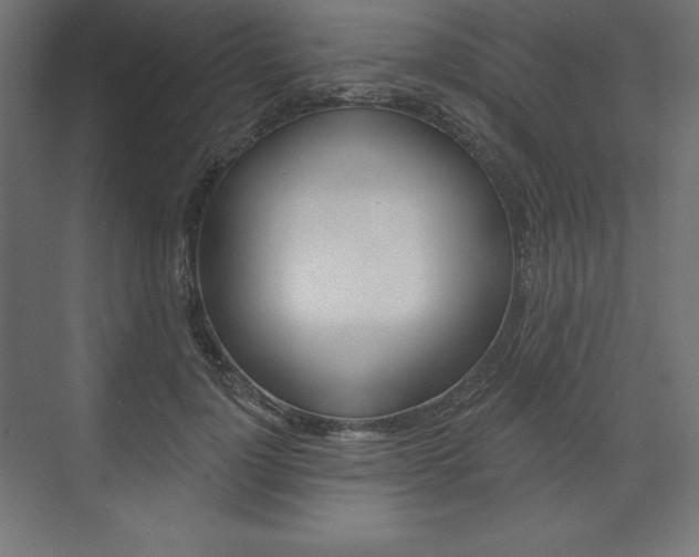 X0000073950748200608210942