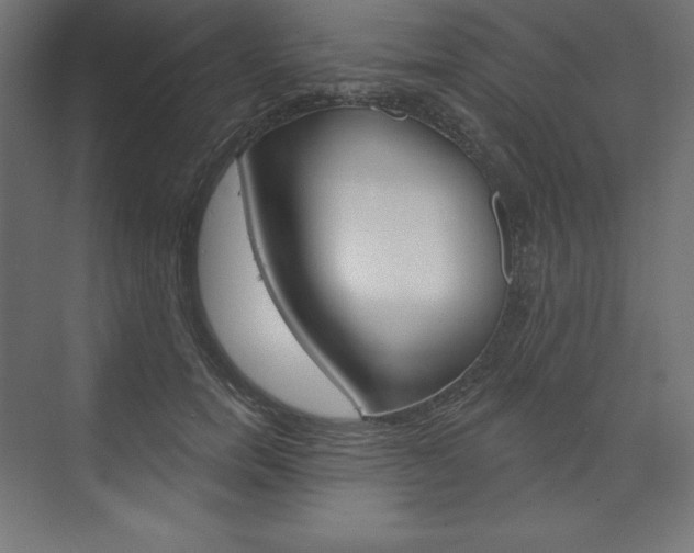 X0000073950750200608210942