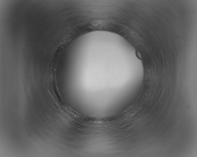 X0000073950751200608210942