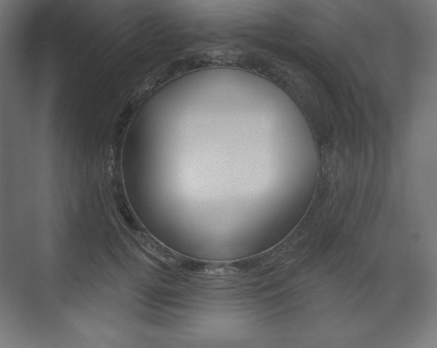 X0000073950752200608210942