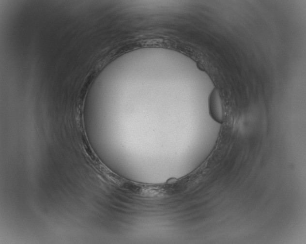 X0000073950753200608210942
