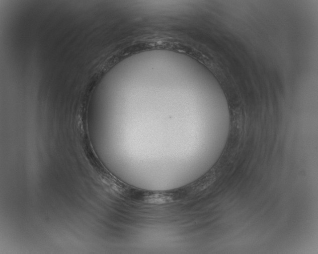 X0000073950754200608210942