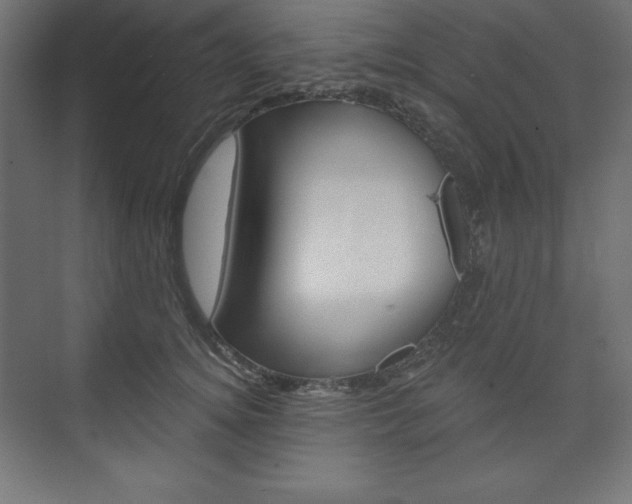 X0000073950756200608210942