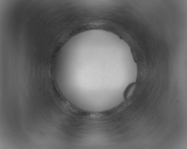 X0000073950758200608210942