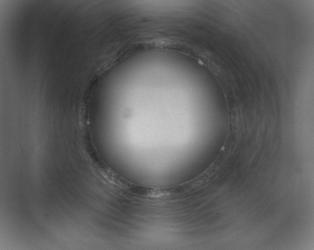 X0000073950760200608210942