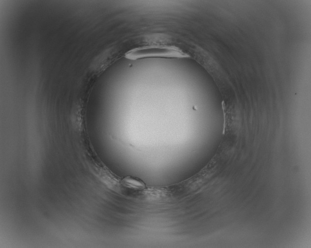 X0000073950762200608210942