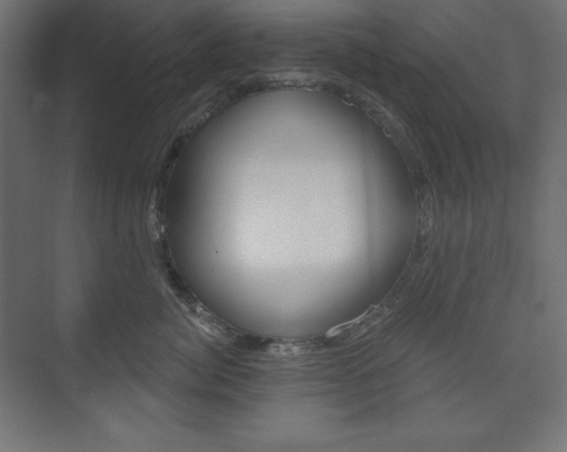 X0000073950764200608210942