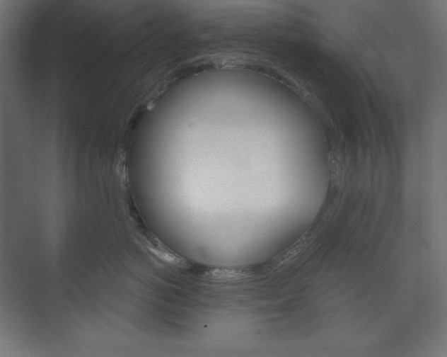 X0000073950766200608210942