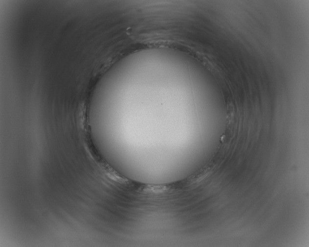 X0000073950767200608210942