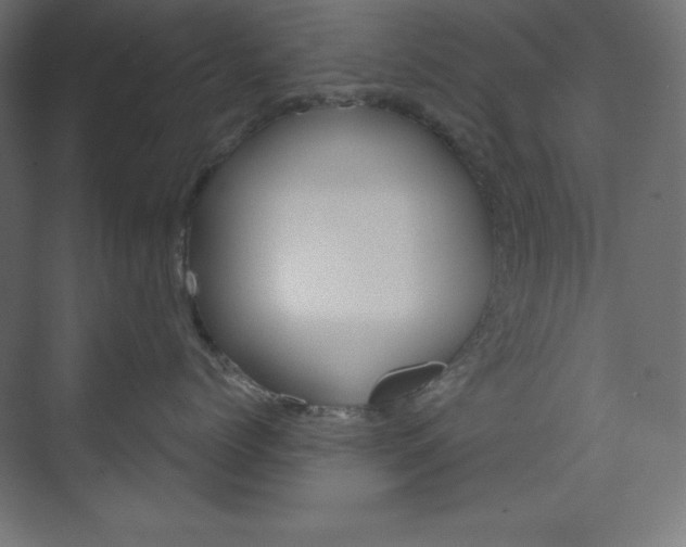 X0000073950768200608210942
