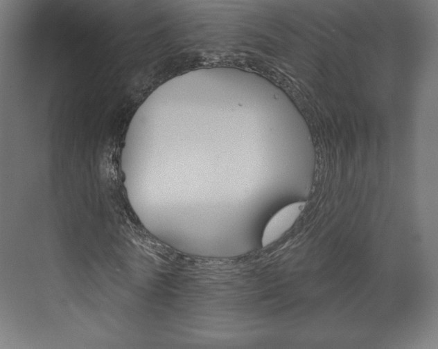 X0000073950770200608210941