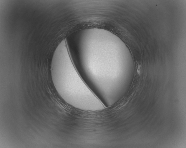 X0000073950771200608210941